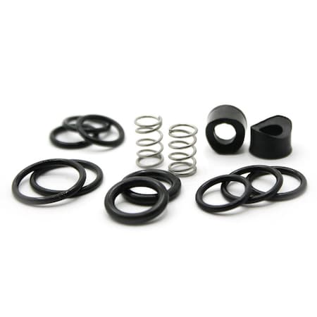 Thrifco Plumbing Sterling Spring & Seat 4401878